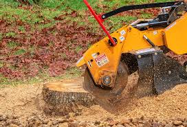 Best Tree Mulching  in Romeovle, IL